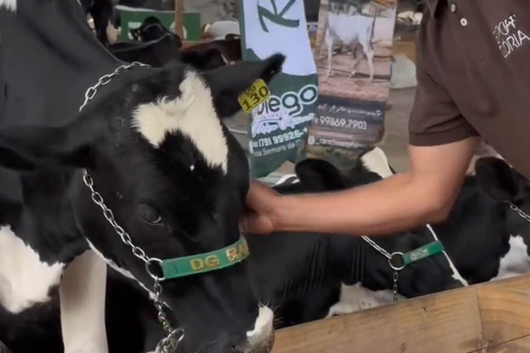 Secretaria de Agricultura e Pecuária acompanha de perto a Expo Glória 2026