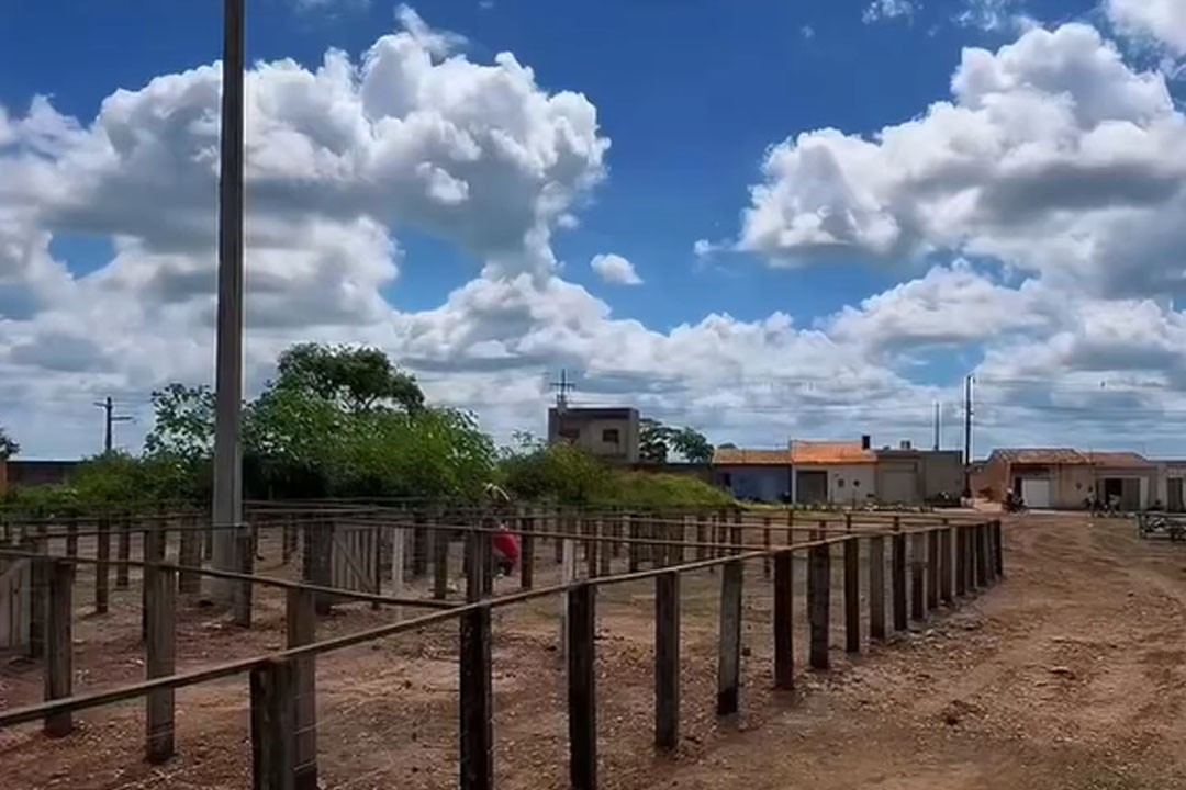 Feira de Animais de Nossa Senhora da glória ganha novo espaço