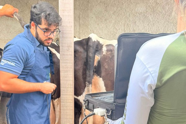 Programa Gestão em Campo leva assistência veterinária a quatro povoados
