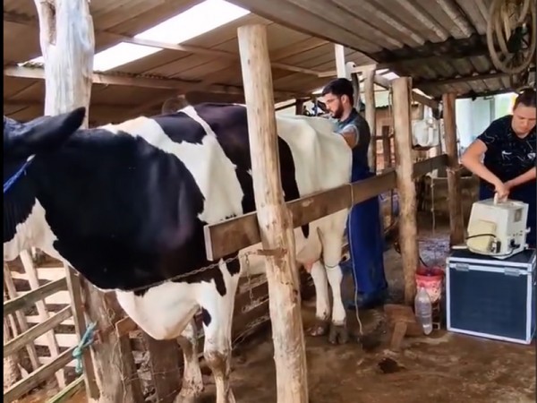 Ultrassonografia animal da Prefeitura é destaque na TV Sergipe