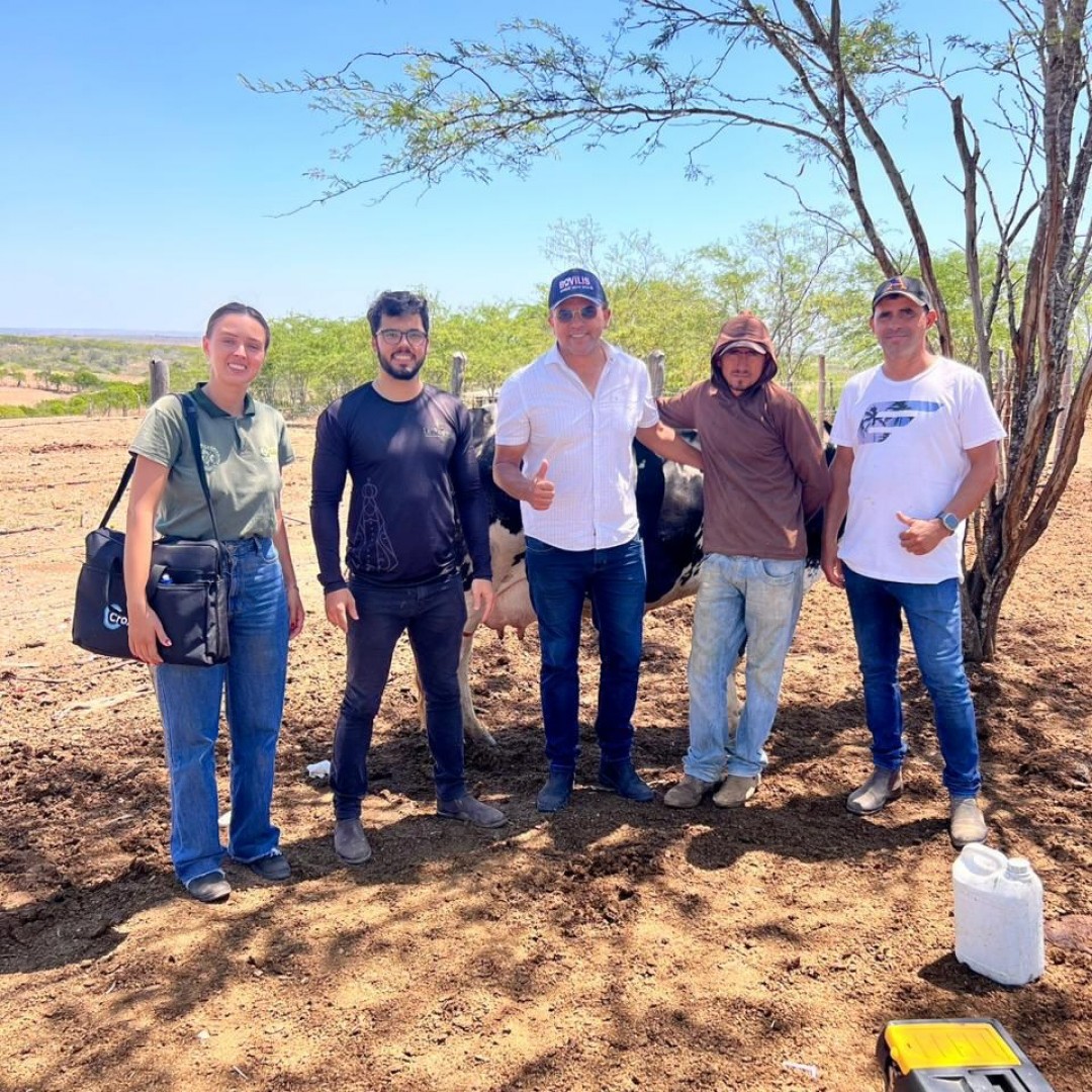 Programa “Gestão em Campo” leva atendimento veterinário a comunidades rurais