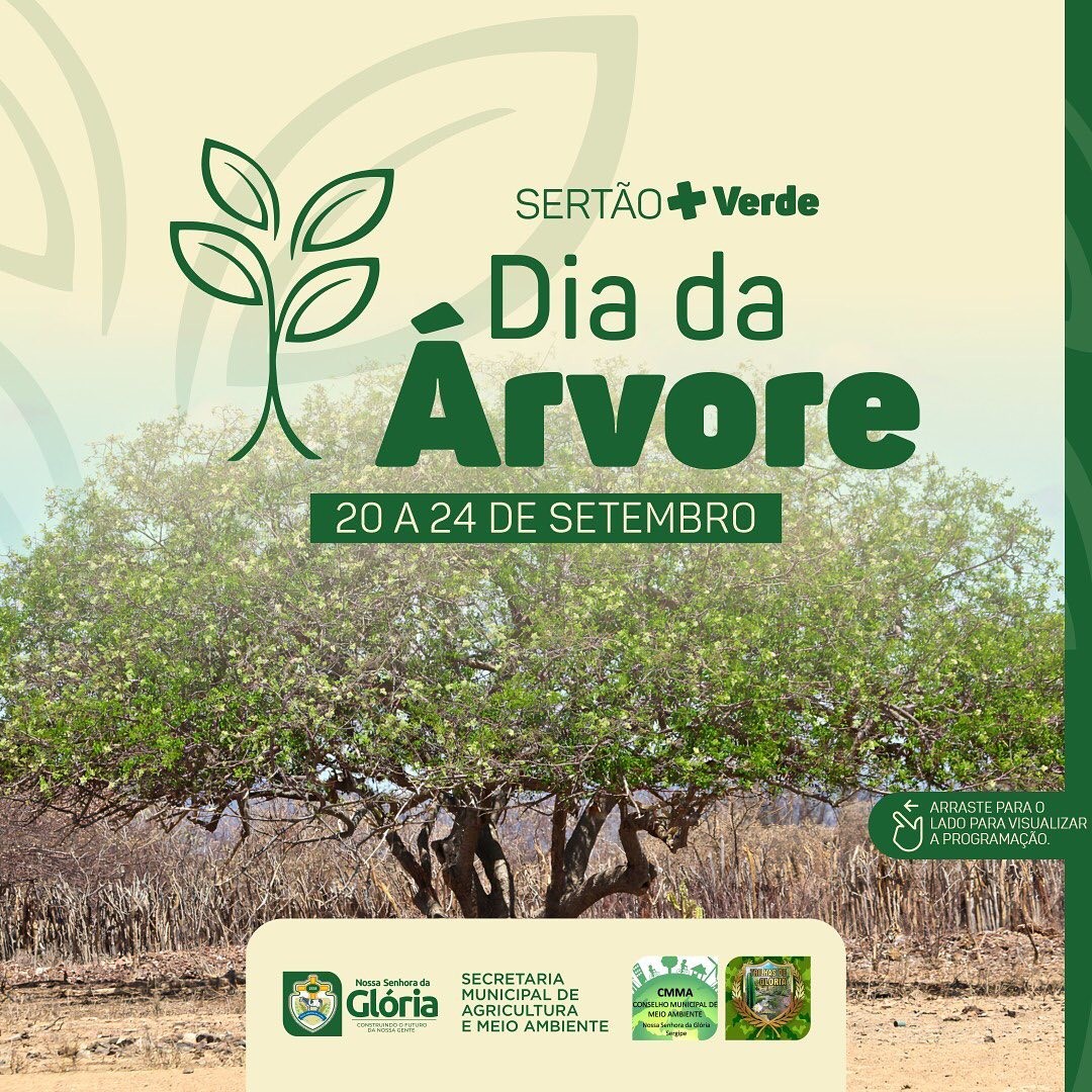 Prefeitura de Nossa Senhora da Glória prepara programação especial para "Semana da Árvore"